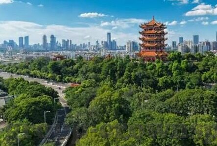 竞彩足球比分喜爱-竞彩足球比分，一场与心跳同频的热爱之旅