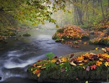 开云体育是什么-开云体育，塑造体育行业新生态的先行者